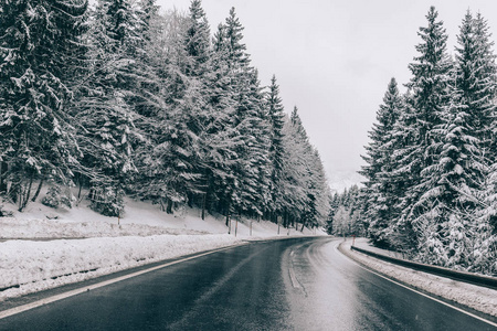 冬天的路。穿过森林的乡村公路。旅行概念。冬季旅行。
