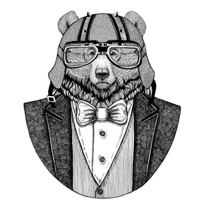 大灰熊动物戴着领结和摩托车头盔或 aviatior 头盔, 穿着夹克。优雅的摩托车手, 摩托骑手, 飞行员。图像为纹身, ts