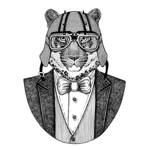 野生猫豹豹身穿夹克与弓领带和车手头盔或 aviatior 头盔。优雅的摩托车手, 摩托骑手, 飞行员。图像为纹身, tshir