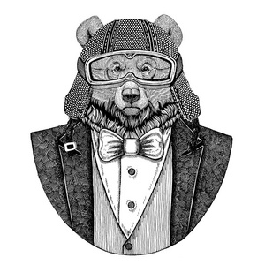 大灰熊动物戴着领结和摩托车头盔或 aviatior 头盔, 穿着夹克。优雅的摩托车手, 摩托骑手, 飞行员。图像为纹身, ts