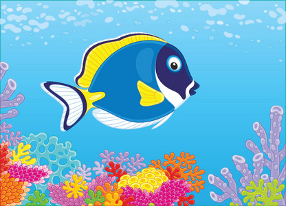 鱼在蓝水中游泳,游过热带海洋中五颜六色的珊瑚礁,这是卡通风格的矢量