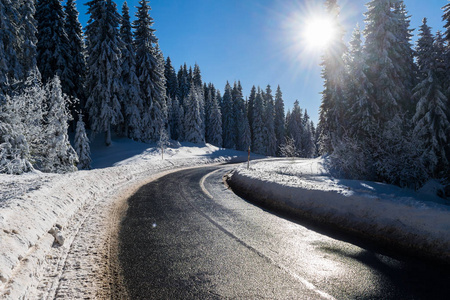 白雪皑皑的山路穿过云杉林，在一个明亮的冬日里为交通打扫得干干净净