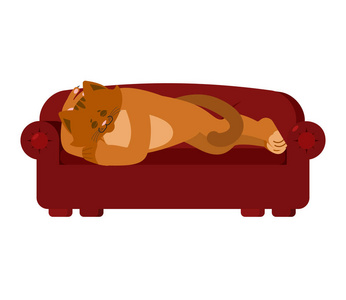 猫睡在沙发上。宠物睡觉的情绪。凯蒂休眠。Vecto