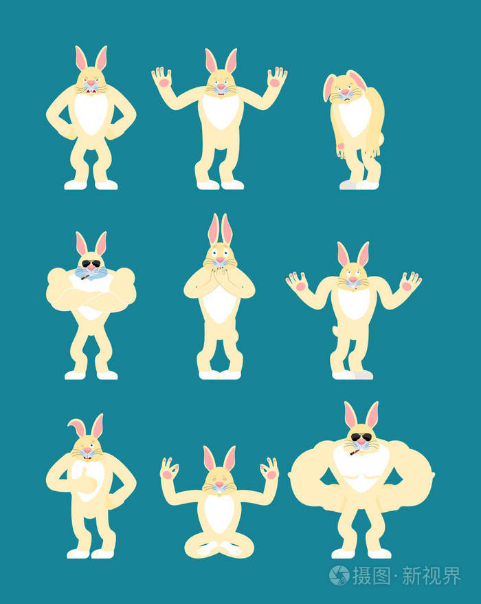 兔子摆姿势和动作.野兔快乐和瑜伽.动物睡觉