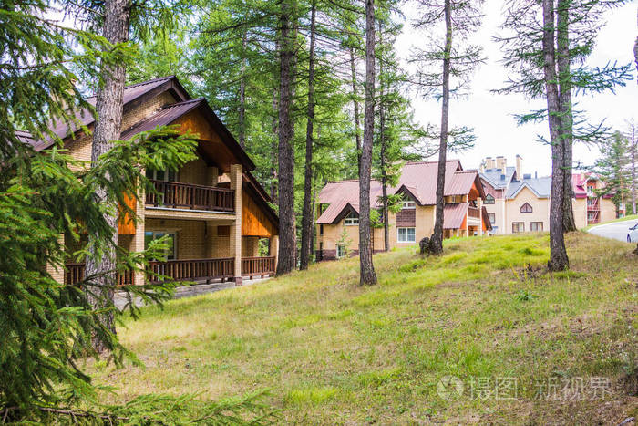 森林和小房子在它在夏天