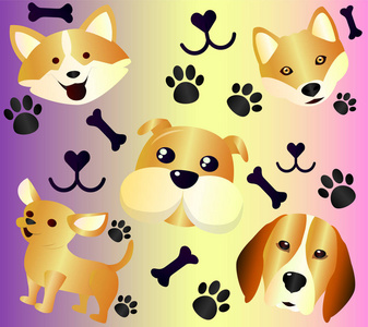 比格猎犬收集宠物,可爱的卡通狗和狗对待狗的足迹从爪子.