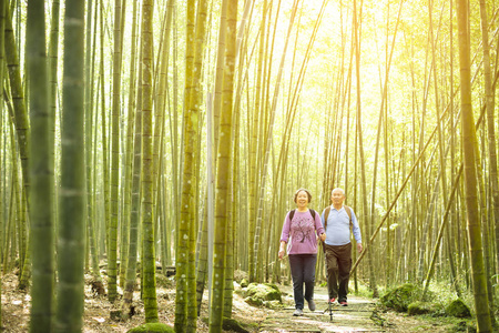 快乐的高级夫妇在绿竹林徒步旅行