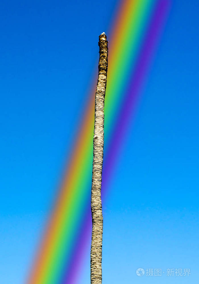 蓝色天空中的死椰子彩虹
