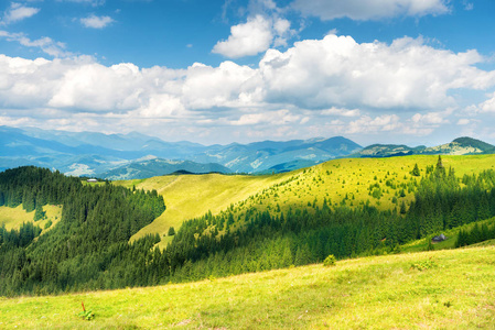 绿色阳光谷山