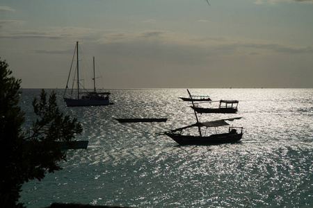 印度洋日落时美丽的桑给巴尔海滩和大海