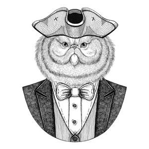 毛茸茸的波斯猫动物的肖像戴着竖起的帽子, 三角手绘纹身, tshirt, 徽章, 徽章, 徽标, 补丁的图像