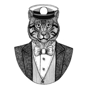 野生猫钓鱼猫动物穿夹克与弓领带和 capitans 尖顶帽优雅的水手, 海军, 船长, 海盗。图像为纹身, tshirt, 徽