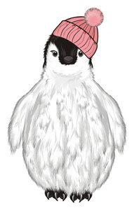 粉红色暖帽的白色企鹅宝宝