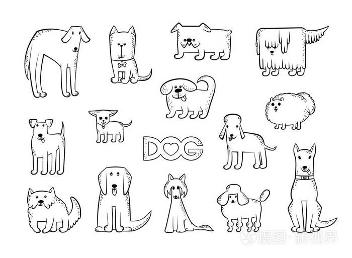 不同的狗品种的向量集.滑稽的漫画动物字符.轮廓隔离黑白素描插图.