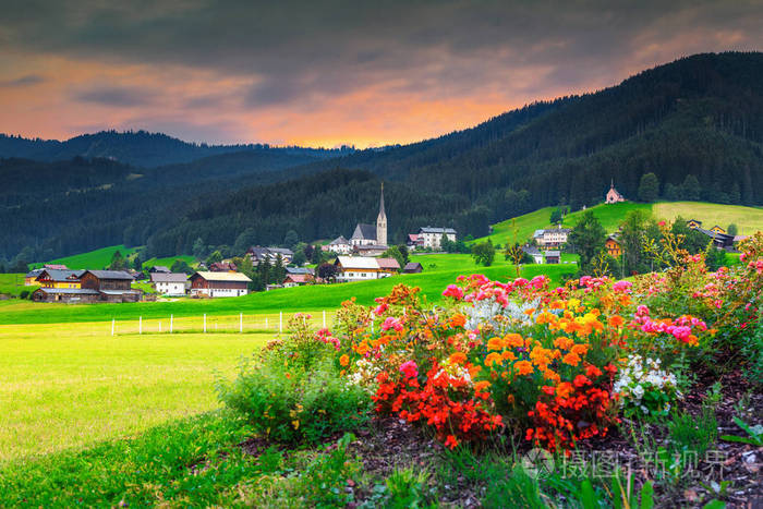 春天高山风景以五颜六色的花和绿色领域奥地利