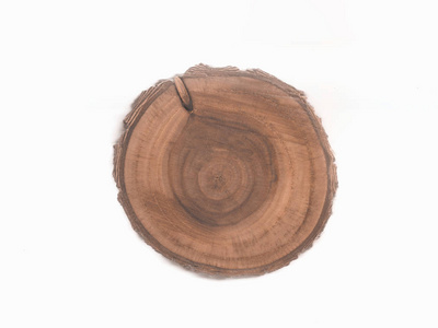 构的砍树，木桩..圆形砍伐树木，年轮作为木材纹理。