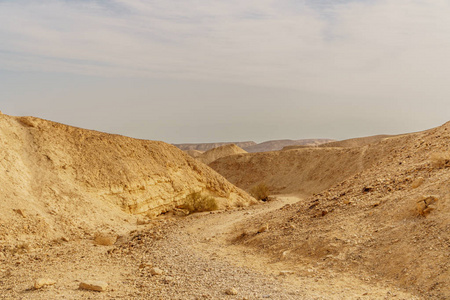 美丽的大自然沙漠在干燥的犹太风景如画的荒野。户外风景