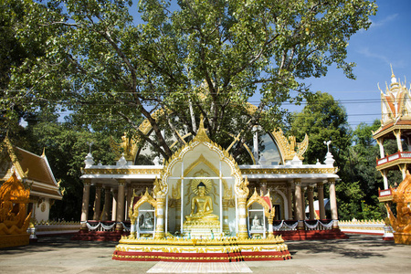 泰国乌汶府的农 Bua 寺