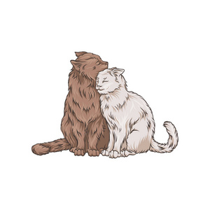 可爱的两个拥抱猫宠物动物手绘矢量插图照片