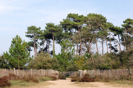 or beach in charente maritime coast