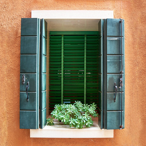 窗户上有绿色的百叶窗和花盆里的花。 意大利文伯拉诺