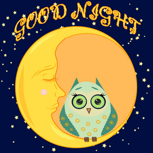 晚安卡与睡月亮和可爱的猫头鹰。矢量图