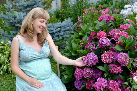 年轻的孕妇羡慕花园里盛开的绣球花。