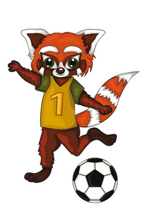 红熊猫是个足球运动员.卡通风格.白色背景上的隔离图像照片