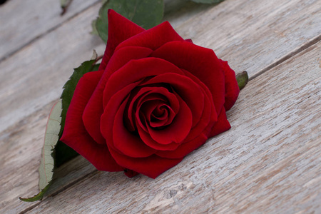 老木桌上美丽的红玫瑰