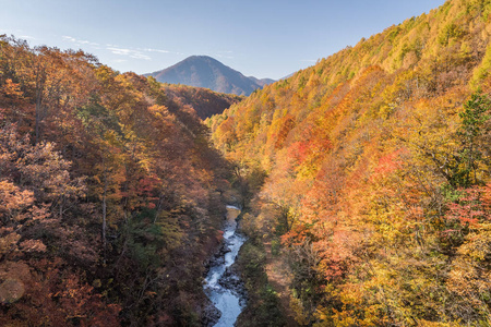 福岛的中川峡谷在秋天