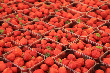 草莓陈列图片