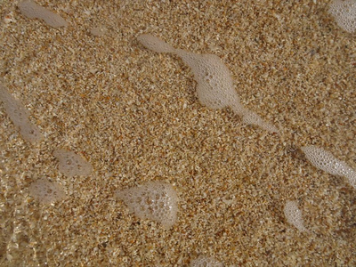 珊瑚小石头和沙子
