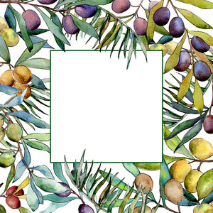 水彩风格的橄榄树框架