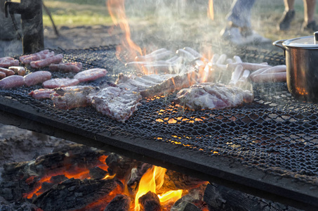 各种类型的肉在火上烘烤