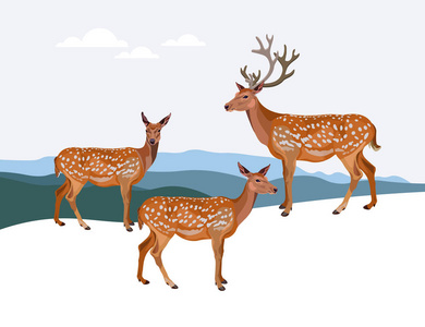 圣诞梅花鹿图片-圣诞梅花鹿素材-圣诞梅花鹿插画-摄图新视界