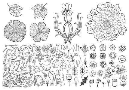 手绘复古花卉设计元素