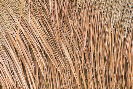 茅草屋顶背景, 干草或乾草背景照片