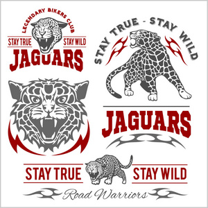 礼仪元素街头战士-战斗俱乐部会徽, 标签, 徽章, 标志矢量捷豹豹 logo