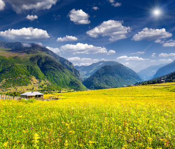 高加索山脉高山草甸美景