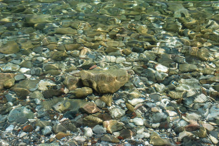 水底有石头的小池塘清澈见底