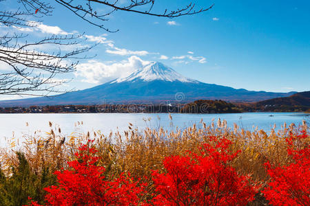 秋天的富士山