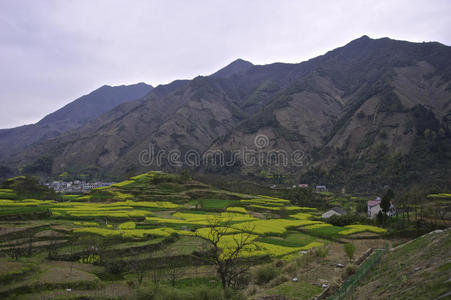 春天的黄山山脉