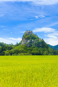 环境 农业 生长 堡垒 小山 风景 阿尔卑斯山 城堡 草地