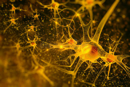 数码插图神经元