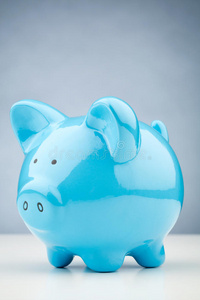 蓝猪存钱罐图片
