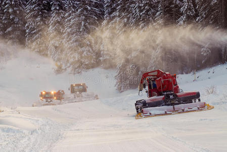 滑雪 小山 运动 求助 雪猫 森林 非城市 阿尔卑斯山 斜坡