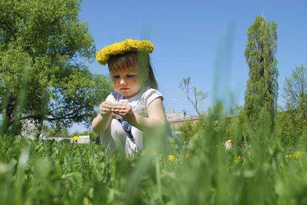 坐在田野里的小女孩们戴着蒲公英的花环。