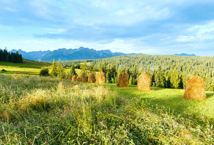 夏日山景