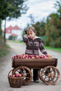 小男孩，带着装满苹果的手推车