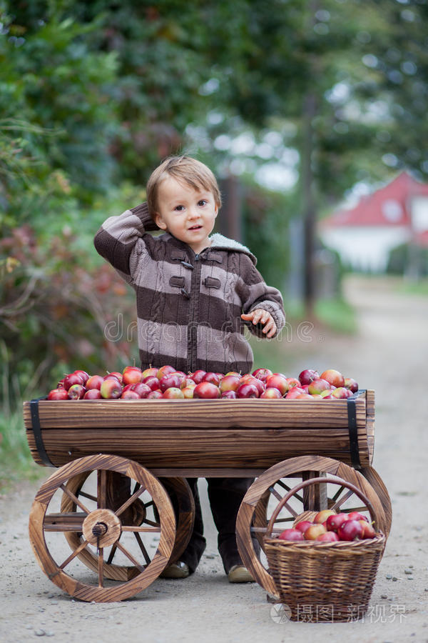 小男孩，带着装满苹果的手推车